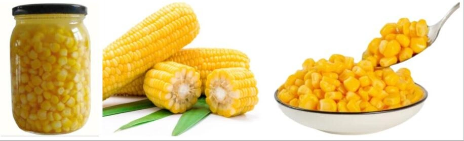 Canned Sweet Corn with High Quality