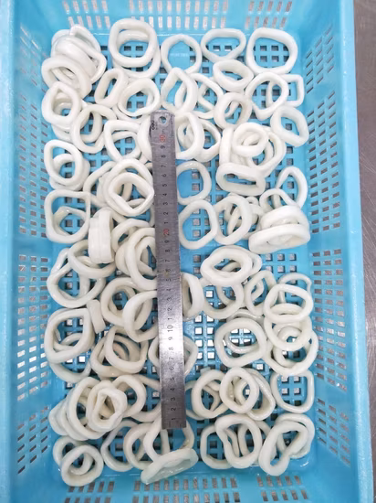Gefrorene Meeresfrüchte Illex/Gigas-Tintenfisch-Calamari/Tintenfisch-Pota-Sotong-Ring