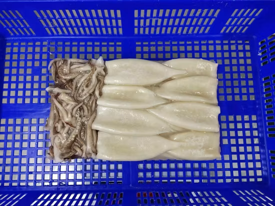 Gefrorener Tintenfisch T+T (Röhre+Tentakel) /Calamari T+T/Calamar/Pota